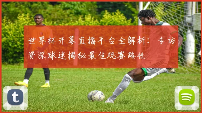 世界杯开幕直播平台全解析：专访资深球迷揭秘最佳观赛路径