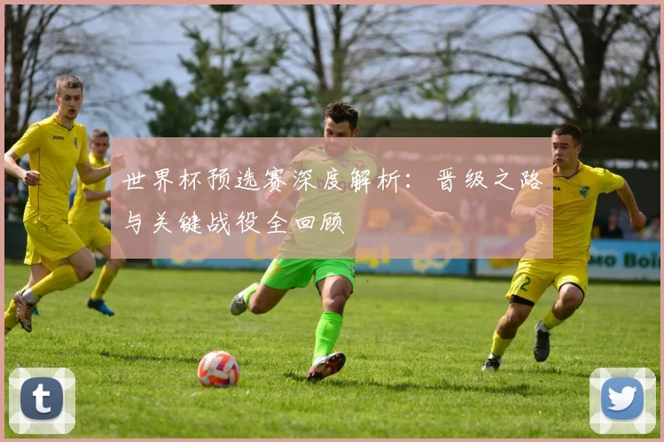 世界杯预选赛深度解析：晋级之路与关键战役全回顾
