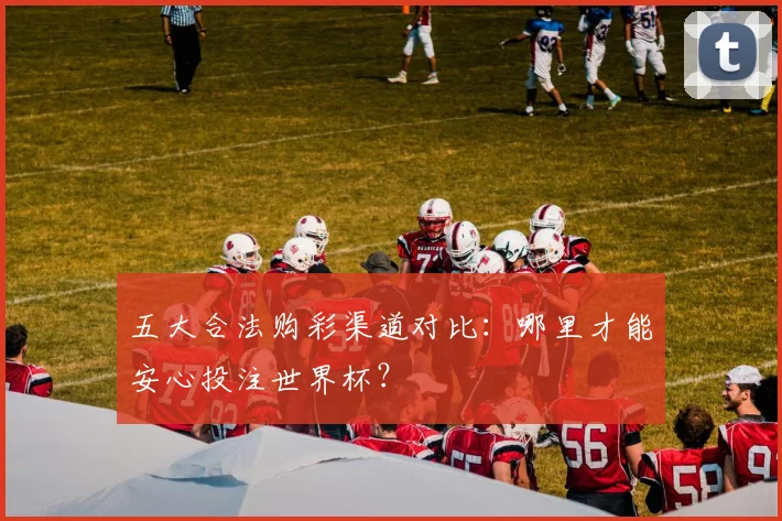 五大合法购彩渠道对比：哪里才能安心投注世界杯？