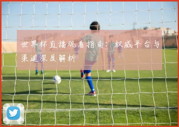 世界杯直播观看指南：权威平台与渠道深度解析