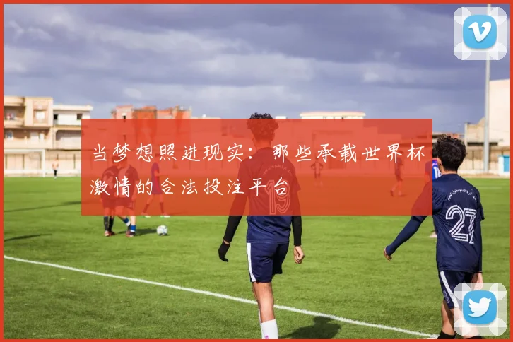 当梦想照进现实：那些承载世界杯激情的合法投注平台