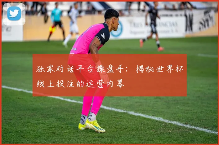 独家对话平台操盘手：揭秘世界杯线上投注的运营内幕