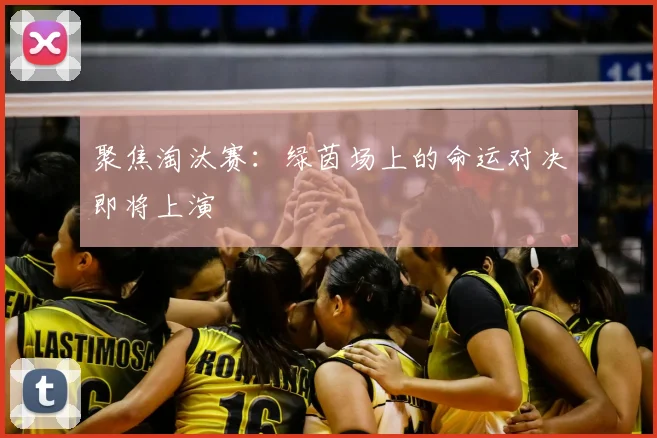 聚焦淘汰赛：绿茵场上的命运对决即将上演
