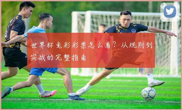 世界杯竞彩彩票怎么看？从规则到实战的完整指南