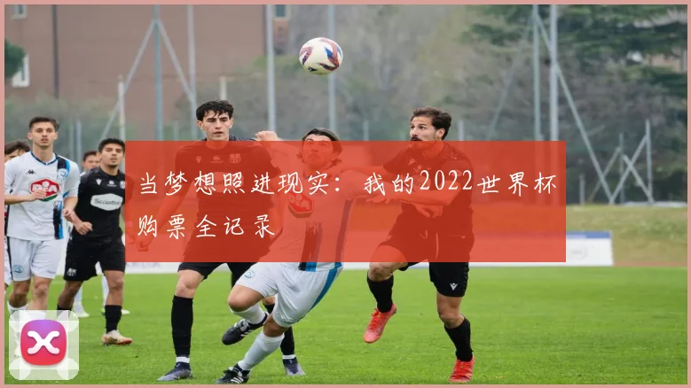 当梦想照进现实:我的2022世界杯购票全记录