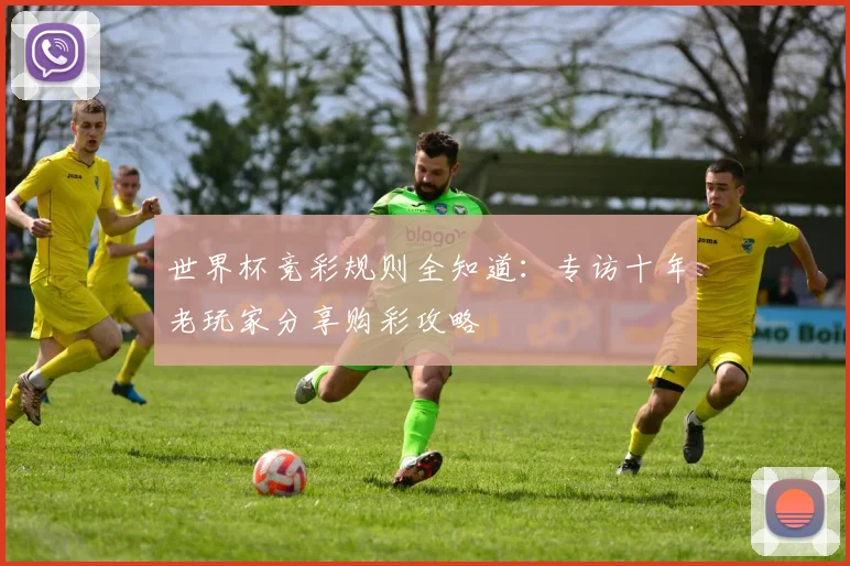 世界杯竞彩规则全知道:专访十年老玩家分享购彩攻略