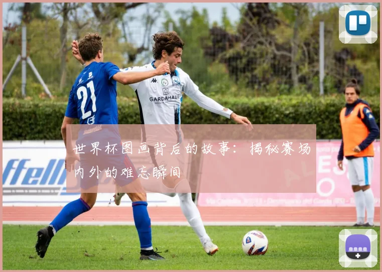 世界杯图画背后的故事：揭秘赛场内外的难忘瞬间