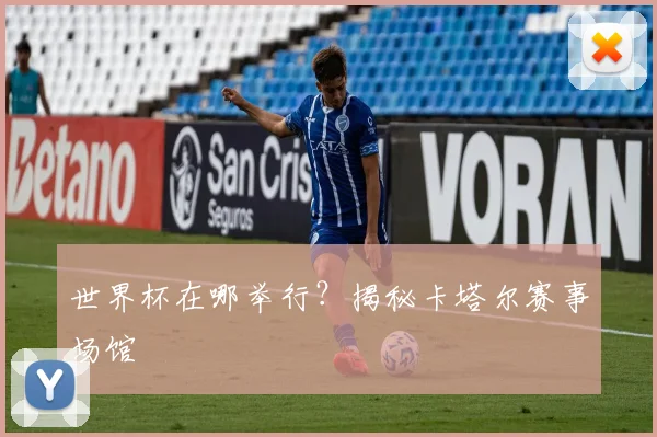 世界杯在哪举行？揭秘卡塔尔赛事场馆