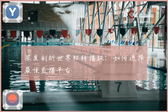 深度剖析世界杯转播权：如何选择最佳直播平台