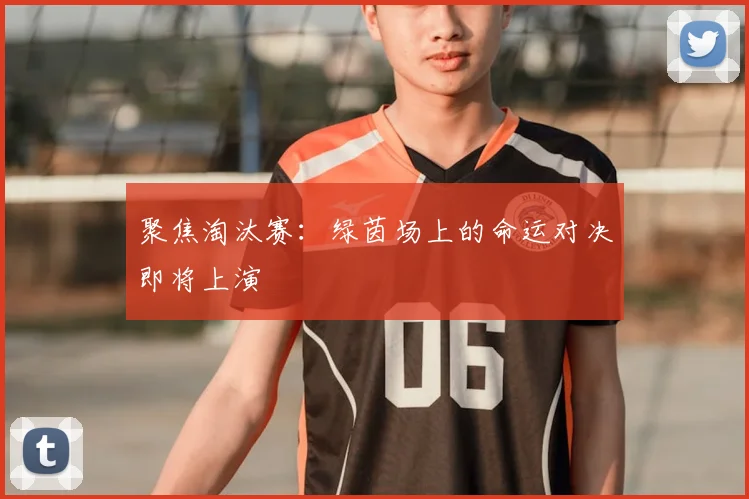 聚焦淘汰赛:绿茵场上的命运对决即将上演