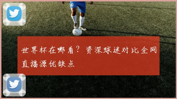 世界杯在哪看?资深球迷对比全网直播源优缺点