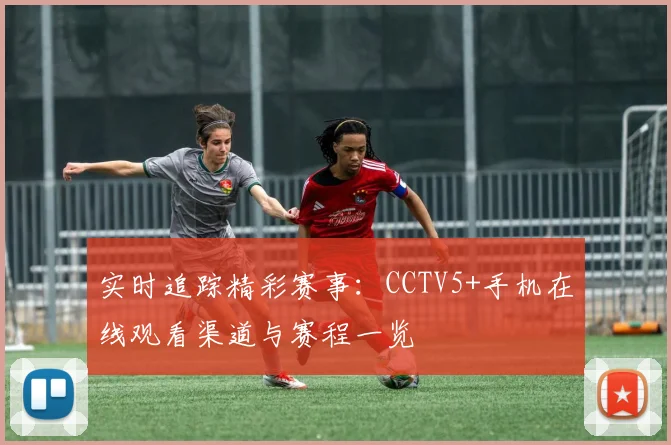 实时追踪精彩赛事：CCTV5+手机在线观看渠道与赛程一览