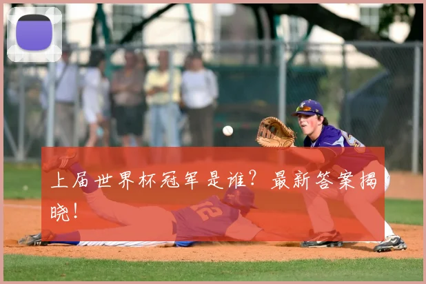 上届世界杯冠军是谁？最新答案揭晓！
