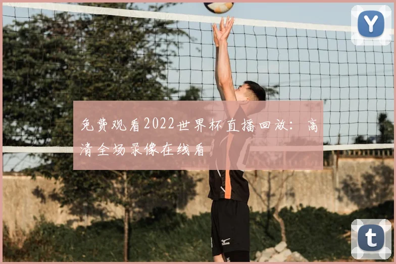 免费观看2022世界杯直播回放:高清全场录像在线看